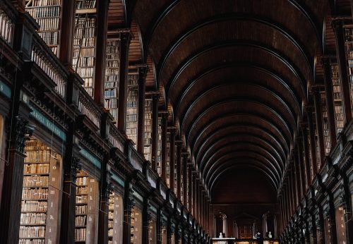 giammarco boscaro 378319 unsplash