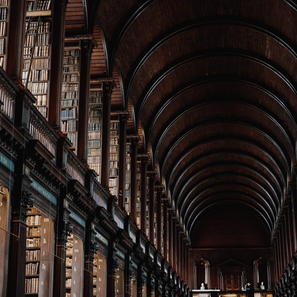 giammarco boscaro 378319 unsplash