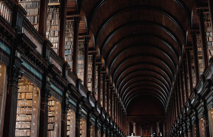 giammarco boscaro 378319 unsplash