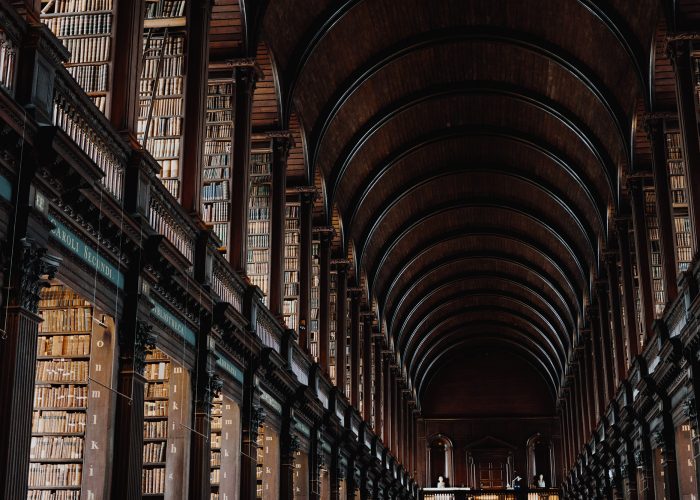 giammarco boscaro 378319 unsplash