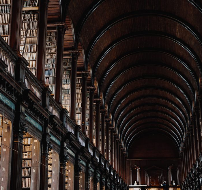 giammarco boscaro 378319 unsplash