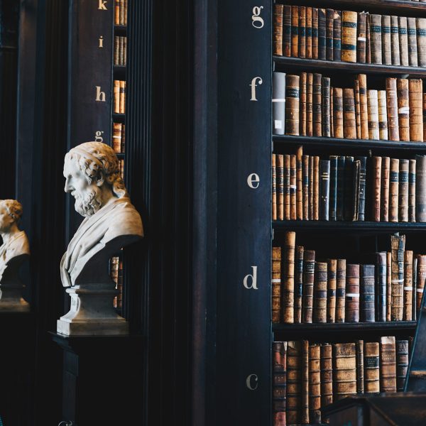 giammarco boscaro 380907 unsplash